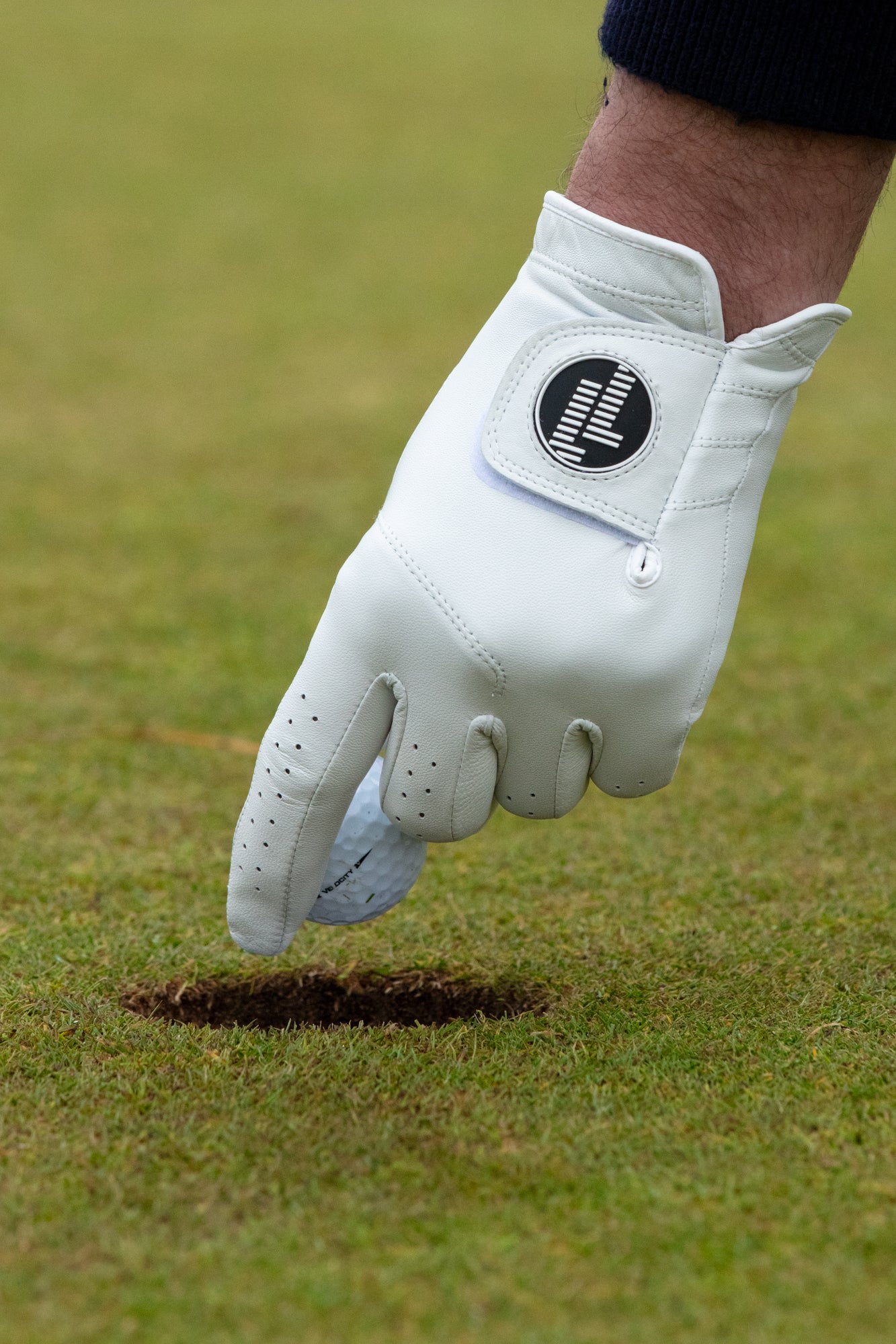 World Class Leather Glove