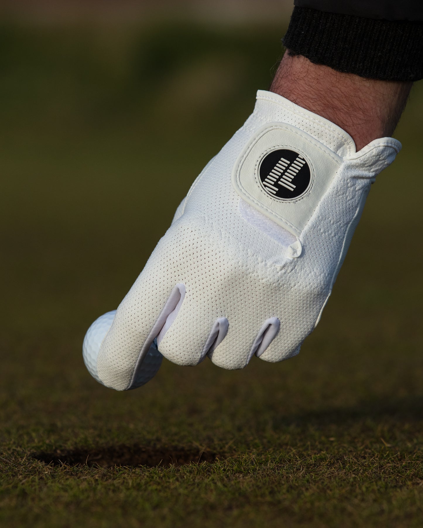 Premium Mesh Glove