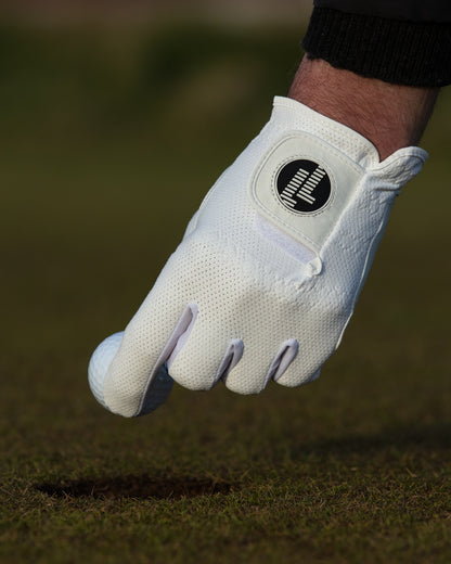 Premium Mesh Glove